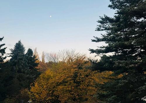 Foto - Etagenwohnung zur Miete in Duisburg