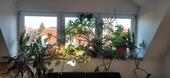 Foto - 4 Zimmer Dachgeschoßwohnung in Bautzen