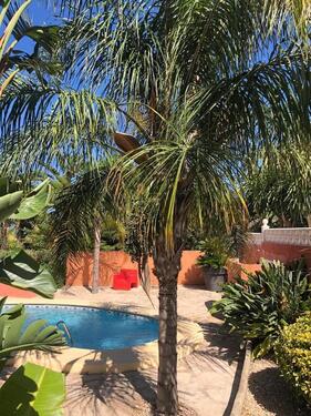 Foto - andere zur Miete in Dautphetal