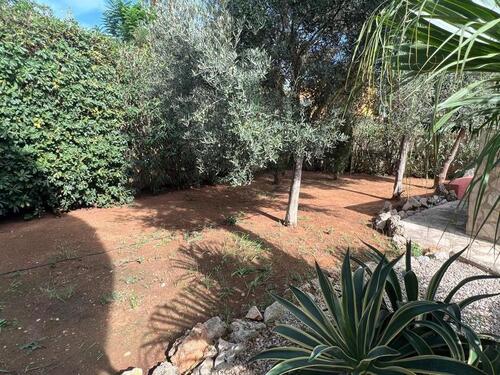 Foto - andere in Dautphetal