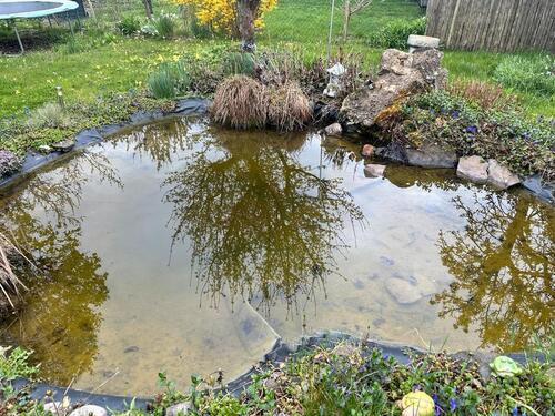 Foto - Pachtgarten. Top Lage - 150,00&nbsp;EUR Kaltmiete, ca.&nbsp; 0,00&nbsp;m&sup2;