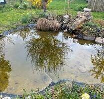 Pachtgarten. Top Lage - 150,00&nbsp;EUR Kaltmiete, ca.&nbsp; 0,00&nbsp;m&sup2; in Weida (PLZ: 07570)