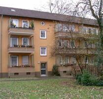 Wohnglück! Gemütliche 2-Zimmer-Wohnung, frisch saniert! - Bonn Friesdorf