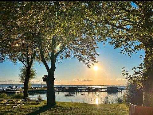 Foto - Bungalow in Gravelotte auf Pachtland