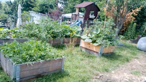 Foto - Schrebergarten mit Fernsicht und anfahrbar