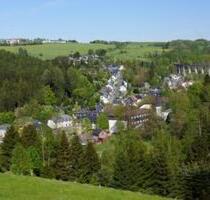 ✅IN DAS LUFT UND NATUR KURORT, LICHTE✅- ✨NATURPARK THÜRINGERWALD✨ - Neuhaus am Rennweg