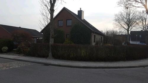 Foto - 3 Zimmer Erdgeschoßwohnung zur Miete in Meldorf