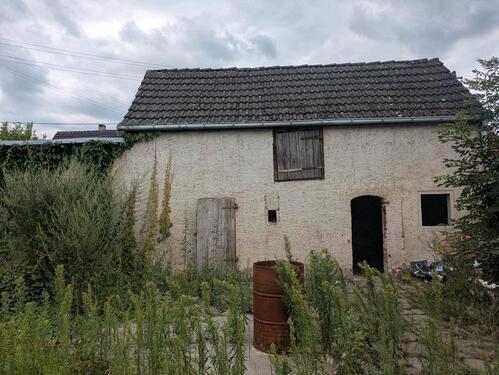Foto - Einfamilienhaus in Burg zum Kaufen