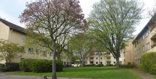 Foto - 3 Zimmer Erdgeschoßwohnung zur Miete in Bonn