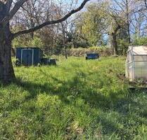 Garten zu vermieten - 150,00&nbsp;EUR Kaltmiete, ca.&nbsp; 0,00&nbsp;m&sup2; in Erlabrunn (PLZ: 97250)