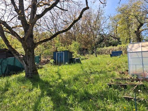 Foto - Grundst&uuml;ck in Erlabrunn