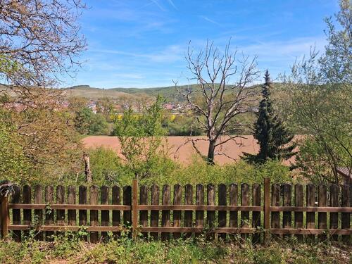 Foto - Grundst&uuml;ck in Erlabrunn zur Miete