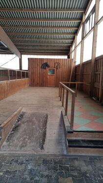 Foto - Alte Reitschule Hallen und Freiflächen zu Vermieten in Grunewald