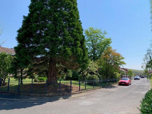 Foto - Einfamilienhaus zum Kaufen in Marktheidenfeld