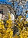 Foto - 1 bis 2 Familienhaus zu verkaufen, OHNE MAKLERGEBÜHREN,
