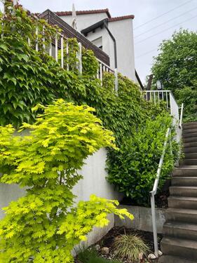 Foto - Gepflegte DHH am Südhang in Nbg.-Brunn (1994)