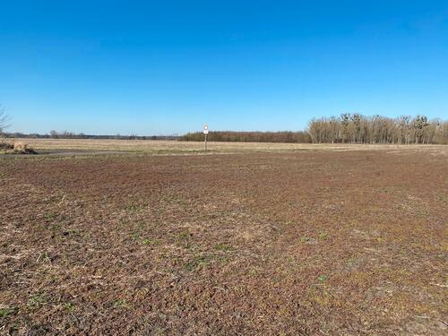 Foto - Biete Ackerflächen noch 23ha Bredow für 2026 an!!!