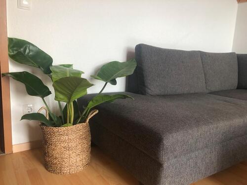 Foto - Etagenwohnung in Köln zur Miete