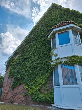 Foto - Reihenhaus in Dorf Mecklenburg zum Kaufen