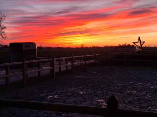 Foto - Ferienwohnung Dornum nahe Nordsee Osterferien