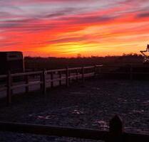Ferienwohnung Dornum nahe Nordsee Osterferien