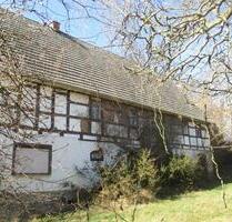 Ohne Denkmalschutz: Historisches Bauernhaus + großes Grundstück - Rochlitz