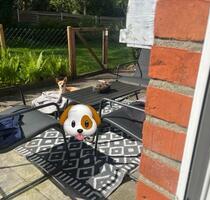 1,5 Zimmer Wohnung mit Terrasse - Leck