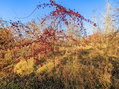 Foto - 3 Zimmer Etagenwohnung zur Miete in Leipzig
