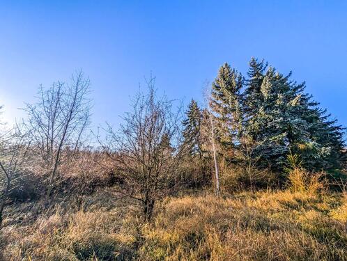 Foto - Etagenwohnung in Leipzig zur Miete