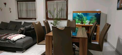 Foto - Etagenwohnung zur Miete in Rheinau