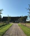 Foto - Reetdachhaus Alleinlage Resthof Pferde