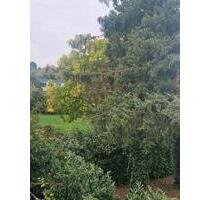 Ruhig und Zentral gelegen Einfamilienhaus - Frankfurt am Main Bergen-Enkheim