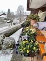 Foto - 2-Zimmer Wohnung in Seebruck am Chiemsee -wo andere Urlaub machen