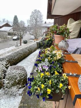 Foto - 2-Zimmer Wohnung in Seebruck am Chiemsee -wo andere Urlaub machen