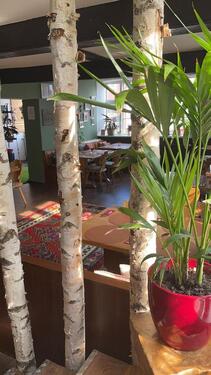 Foto - 6 Zimmer Einfamilienhaus zum Kaufen in Schleswig