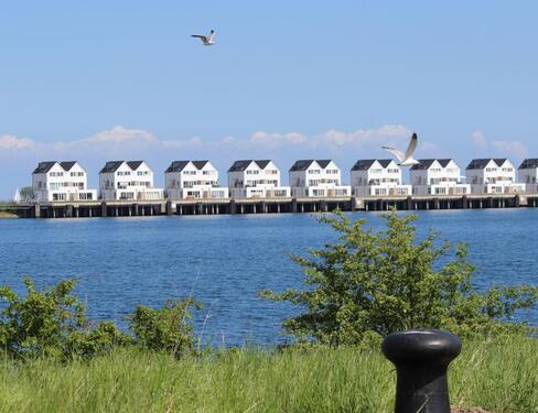 Foto - OstseeOlpenitz bei Kappeln 3 Zimmer, Sauna, Meerblick