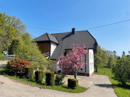 Foto - Einfamilienhaus in Dachsberg (Südschwarzwald)