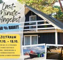 Ferienhaus auf Rügen | Ostsee | Kamin | Sauna | 2 Hunde kostenl. - Sellin