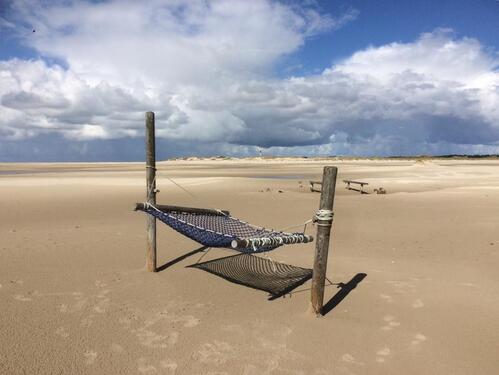 Foto - Ferienwohnung auf Amrum, Hunde willkommen !