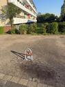 Foto - andere in Tönisvorst zur Miete