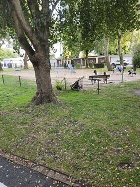 Foto - 2 Zimmer Erdgeschoßwohnung in Mönchengladbach