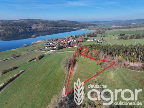 Foto - Grünland (ca. 0,8 ha) nahe der Talsperre Ratscher in Schleusingen - zw. Suhl und Coburg