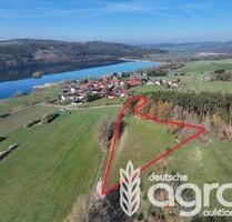 Grünland (ca. 0,8 ha) nahe der Talsperre Ratscher in Schleusingen - zw. Suhl und Coburg