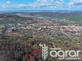 Foto - Stattlicher Buchenmischwald (ca. 0,4 ha) am südl. Stadtrand von Sonderhausen