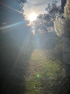 Foto - Etagenwohnung in Detmold zur Miete