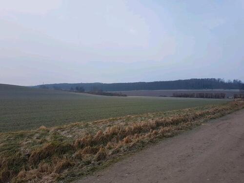 Foto - 3 Zimmer Etagenwohnung in Liebenburg