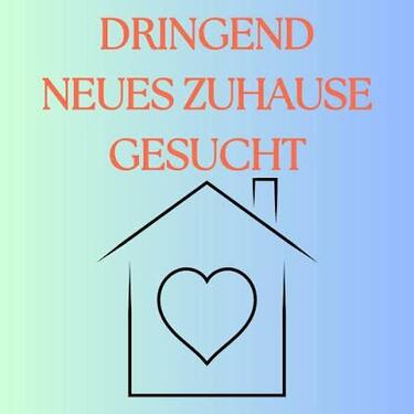 Foto - Haus oder Wohnung zur Miete - 1.200,00&nbsp;EUR Kaltmiete, ca.&nbsp; 80,00&nbsp;m&sup2;
