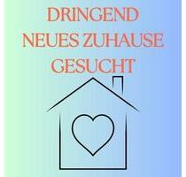 Haus oder Wohnung zur Miete - 1.200,00&nbsp;EUR Kaltmiete, ca.&nbsp; 80,00&nbsp;m&sup2; in Linnich (PLZ: 52441)