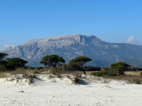Foto - andere in Hamburg zur Miete