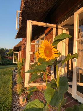 Foto - andere zur Miete in Eutin